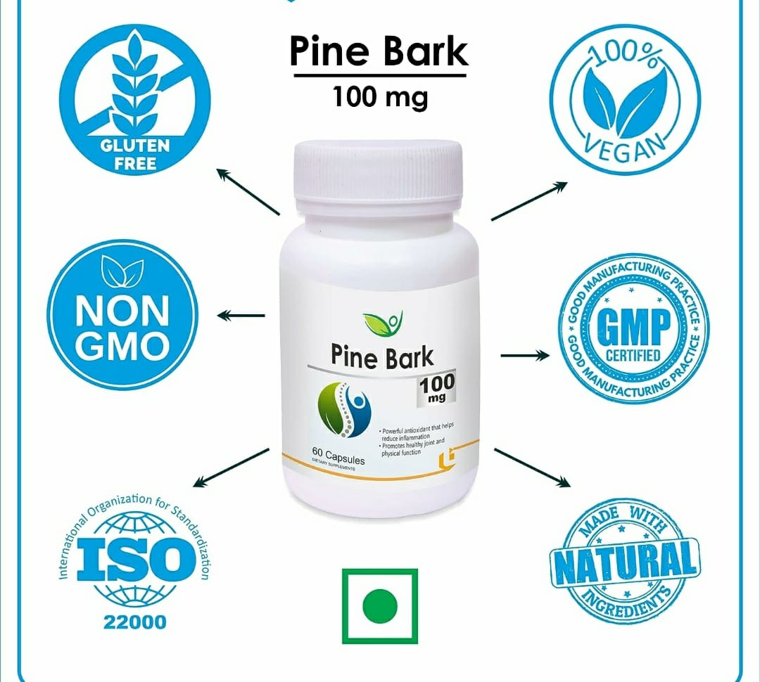 Pine Bark - 60 capsules, 100mg