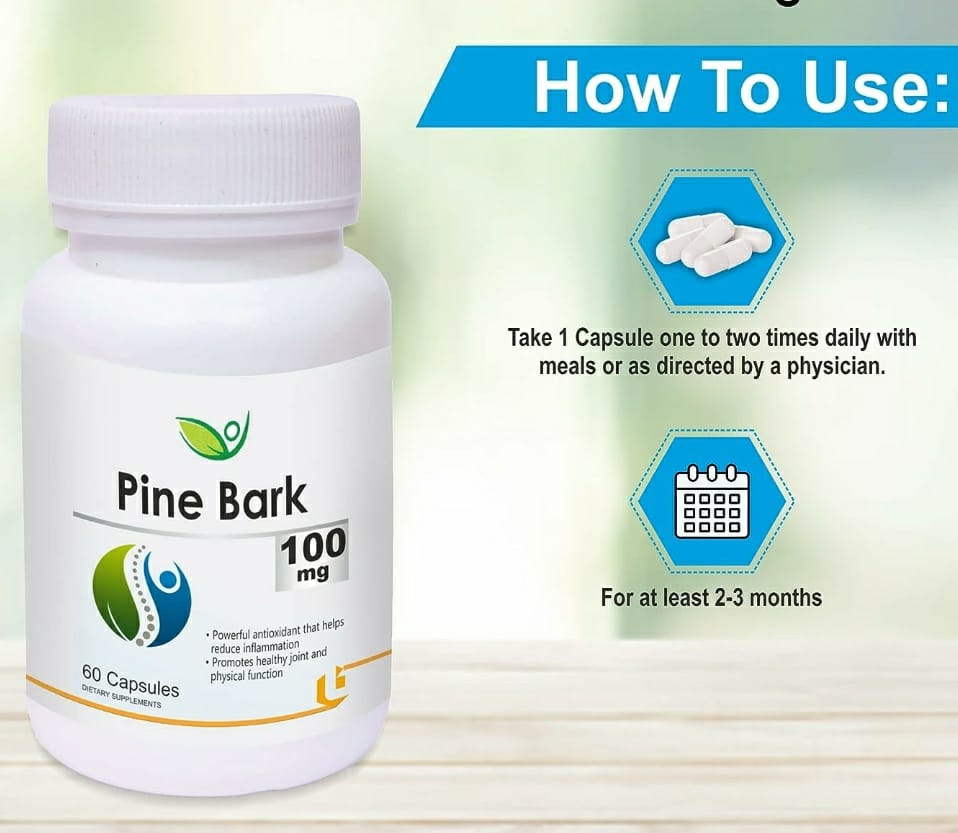 Pine Bark - 60 capsules, 100mg